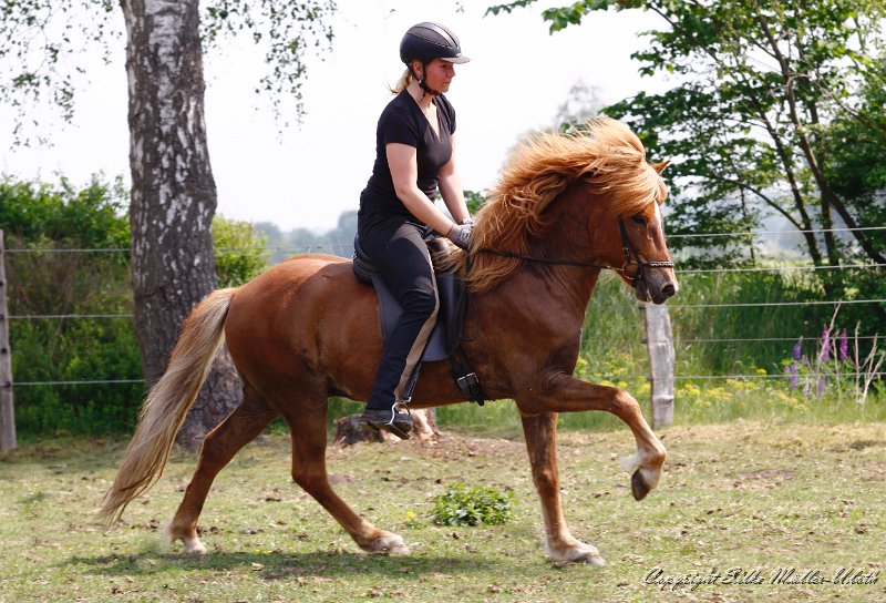 Fjandi 20110521 d.jpg - Fjandi von Heidmoor